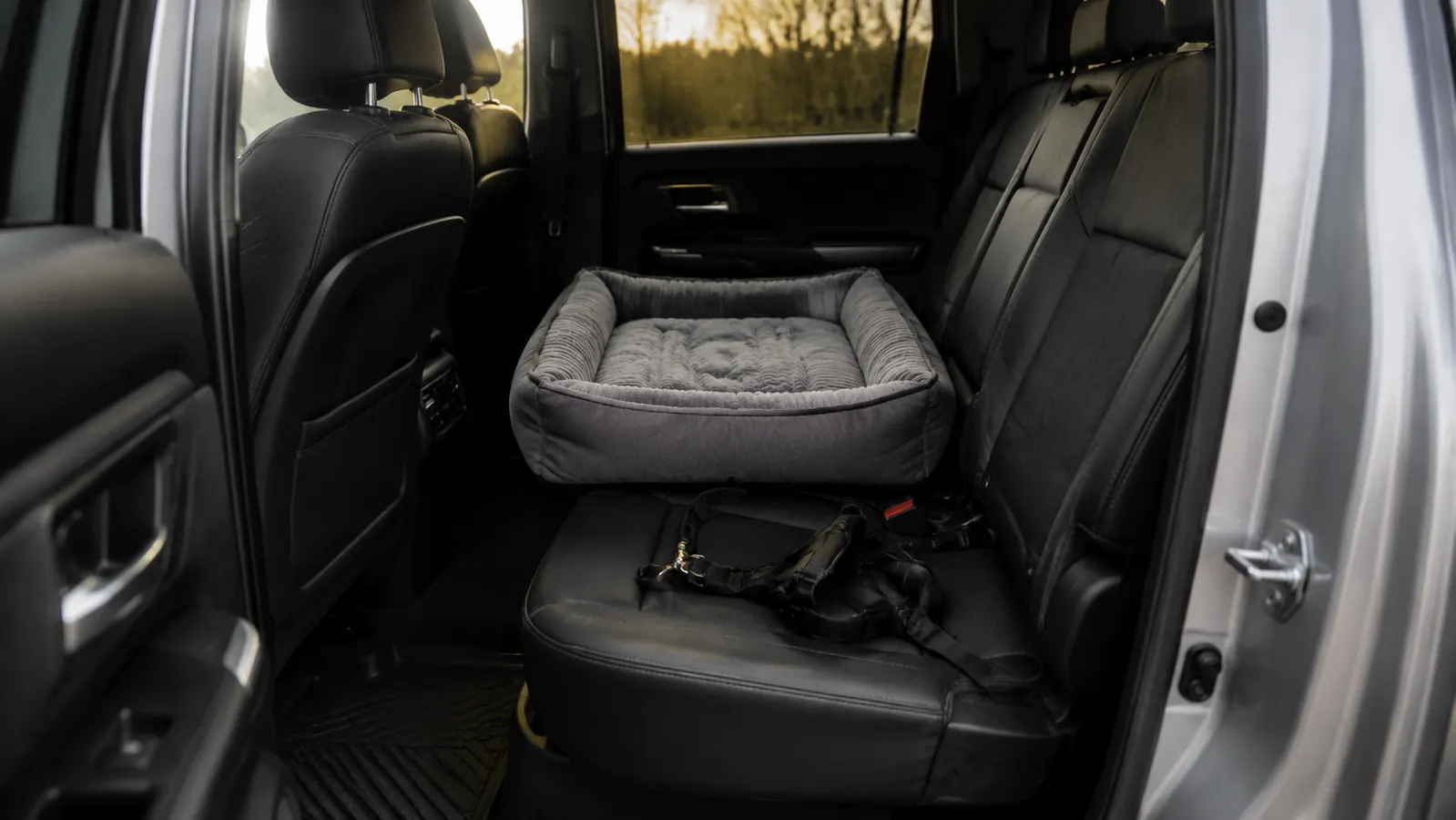 A large dog wearing a harness lies curled up on the back seat of a truck, calm and settled for a long drive.